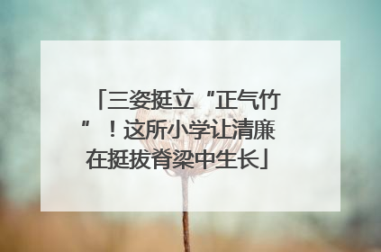 三姿挺立“正气竹”！这所小学让清廉在挺拔脊梁中生长