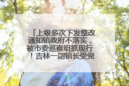 上级多次下发整改通知镇政府不落实，被市委巡察组抓现行！吉林一副镇长受党内警告处分