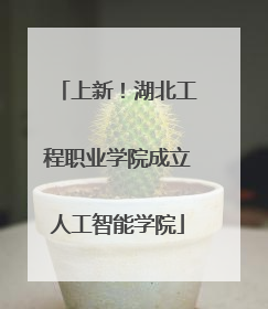 上新！湖北工程职业学院成立人工智能学院