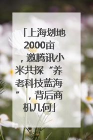 上海划地2000亩，邀腾讯小米共探“养老科技蓝海”，背后商机几何