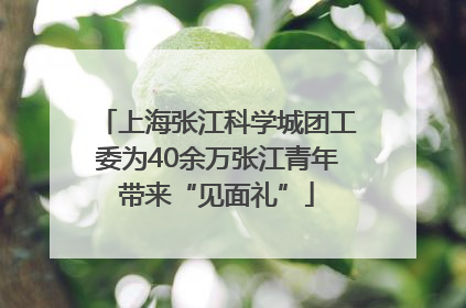 上海张江科学城团工委为40余万张江青年带来“见面礼”