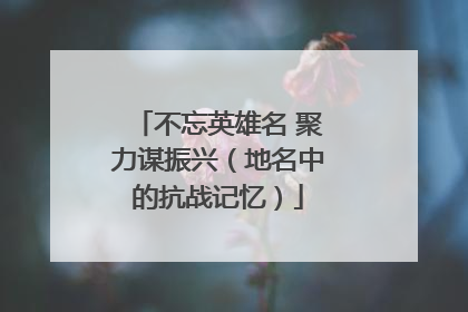 不忘英雄名 聚力谋振兴（地名中的抗战记忆）