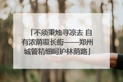 不须秉烛寻凉去 自有浓荫覆长街——郑州城管精细呵护林荫路