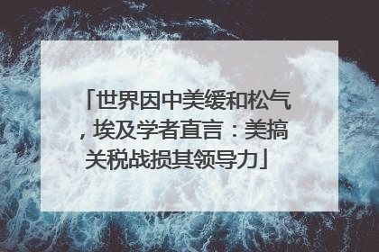 世界因中美缓和松气，埃及学者直言：美搞关税战损其领导力