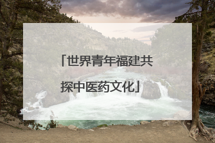 世界青年福建共探中医药文化