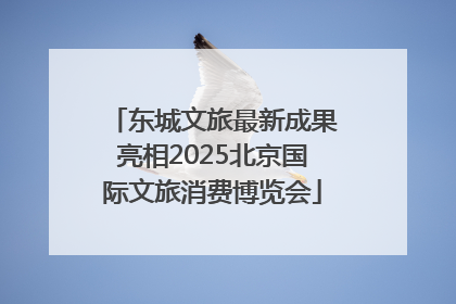 东城文旅最新成果亮相2025北京国际文旅消费博览会