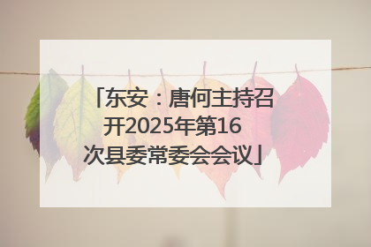 东安：唐何主持召开2025年第16次县委常委会会议