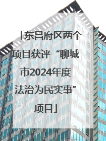 东昌府区两个项目获评“聊城市2024年度法治为民实事”项目