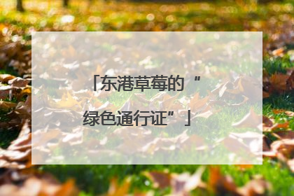 东港草莓的“绿色通行证”