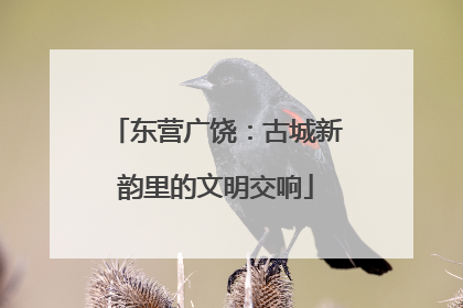 东营广饶：古城新韵里的文明交响