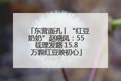 东营面孔丨“红豆奶奶”赵晓凤：55载理发路 15.8万颗红豆映初心