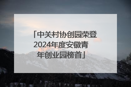 中关村协创园荣登2024年度安徽青年创业园榜首