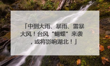 中到大雨、暴雨、雷暴大风！台风“蝴蝶”来袭，或将影响湖北！