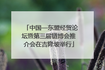 中国—东盟经贸论坛暨第三届链博会推介会在吉隆坡举行