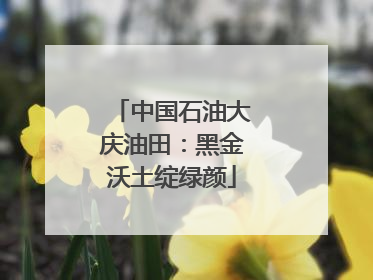 中国石油大庆油田：黑金沃土绽绿颜
