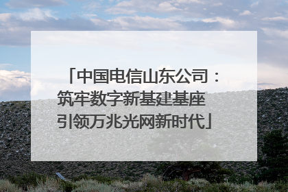 中国电信山东公司：筑牢数字新基建基座 引领万兆光网新时代