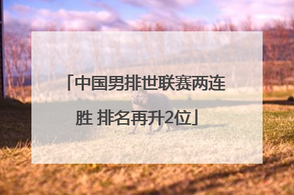 中国男排世联赛两连胜 排名再升2位