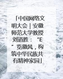 中国网络文明大会｜安徽师范大学教授刘道胜：“E”览徽风，构筑中华民族共有精神家园