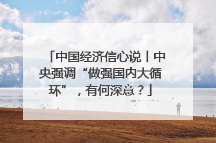 中国经济信心说丨中央强调“做强国内大循环”，有何深意？