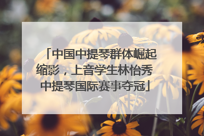 中国中提琴群体崛起缩影，上音学生林怡秀中提琴国际赛事夺冠