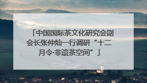中国国际茶文化研究会副会长张仲灿一行调研“十二月令·非遗茶空间”