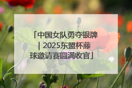 中国女队勇夺银牌｜2025东盟杯藤球邀请赛圆满收官
