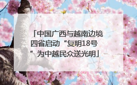 中国广西与越南边境四省启动“复明18号”为中越民众送光明
