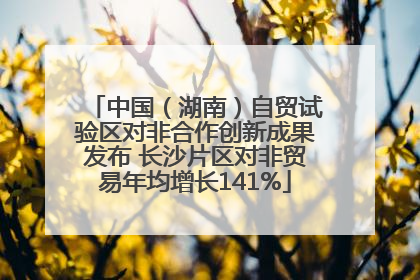 中国（湖南）自贸试验区对非合作创新成果发布 长沙片区对非贸易年均增长141%