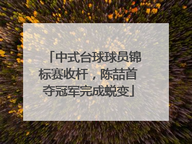 中式台球球员锦标赛收杆，陈喆首夺冠军完成蜕变