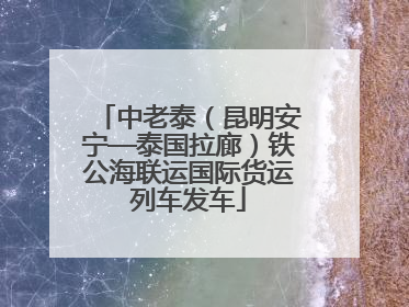 中老泰（昆明安宁—泰国拉廊）铁公海联运国际货运列车发车