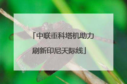中联重科塔机助力刷新印尼天际线