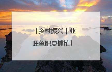 乡村振兴｜业旺鱼肥夏捕忙