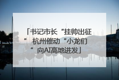 书记市长“挂帅出征” 杭州催动“小龙们”向AI高地进发