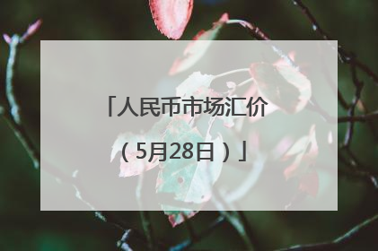 人民币市场汇价（5月28日）