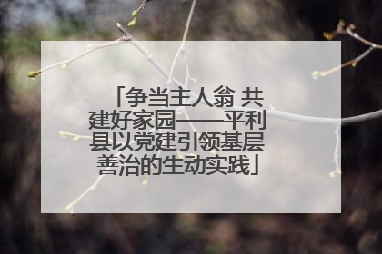 争当主人翁 共建好家园——平利县以党建引领基层善治的生动实践