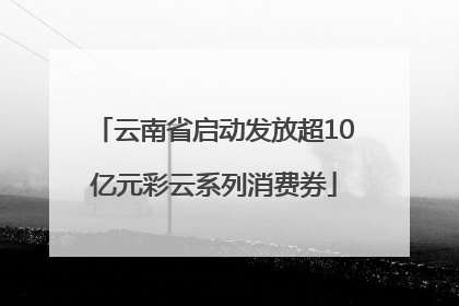 云南省启动发放超10亿元彩云系列消费券
