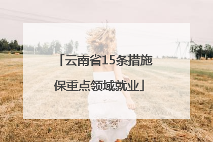 云南省15条措施保重点领域就业