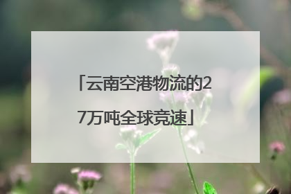 云南空港物流的27万吨全球竞速