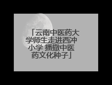 云南中医药大学师生走进西冲小学 播撒中医药文化种子
