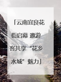 云南宜良花街启幕 邀游客共享“花乡水城”魅力