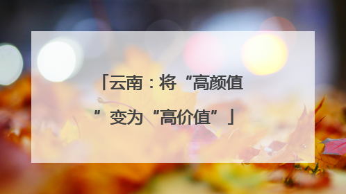 云南：将“高颜值”变为“高价值”