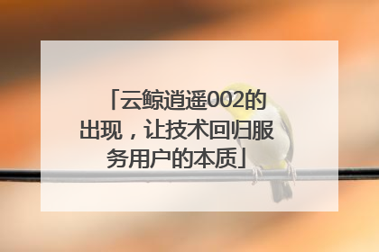 云鲸逍遥002的出现，让技术回归服务用户的本质