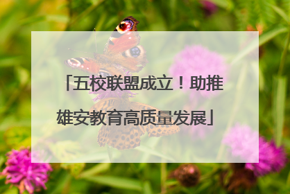 五校联盟成立！助推雄安教育高质量发展