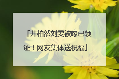 井柏然刘雯被曝已领证！网友集体送祝福