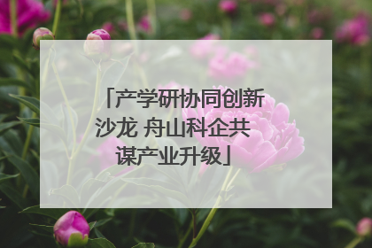 产学研协同创新沙龙 舟山科企共谋产业升级