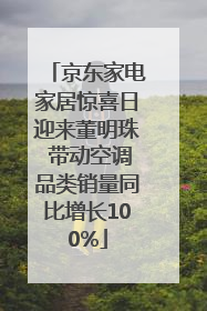 京东家电家居惊喜日迎来董明珠 带动空调品类销量同比增长100%