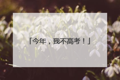 今年，我不高考！