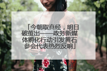 今朝取真经，明日破茧出——政务新媒体孵化行动引发黄石参会代表热烈反响