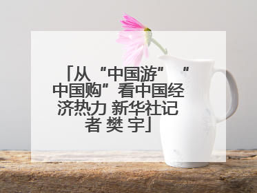 从“中国游”“中国购”看中国经济热力 新华社记者 樊 宇
