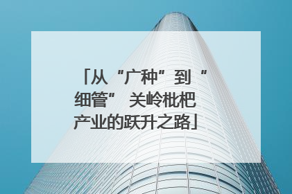 从“广种”到“细管” 关岭枇杷产业的跃升之路